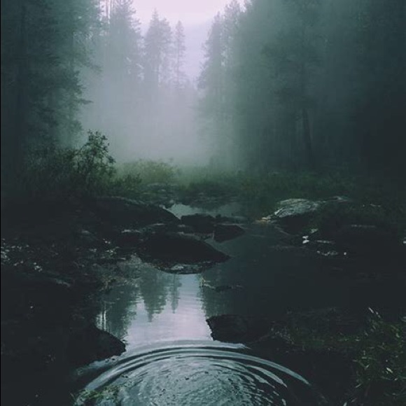 Meet your Posher, J - Picture 1 of 1